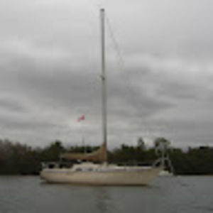 Meet your Posher, Tom